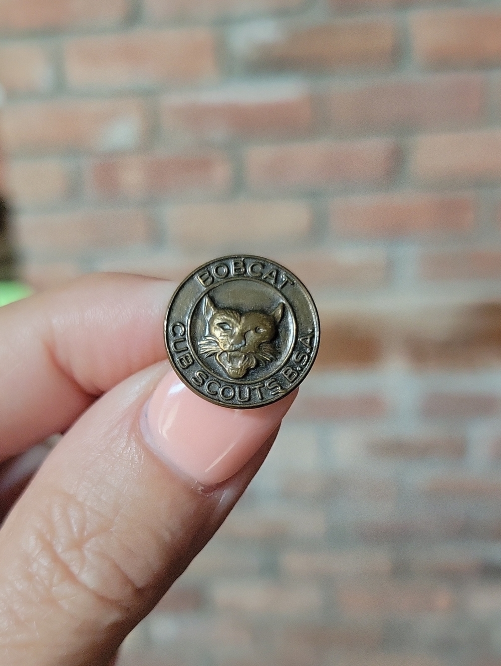 Vintage 1940's Bobcat Club Scouts BSA Bronze Pin